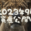 【資産公開】2023年10月の資産状況（前月比-24万）