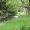 水元公園のタナゴ釣り場