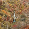 碧色の滝と紅葉（那須の秋）
