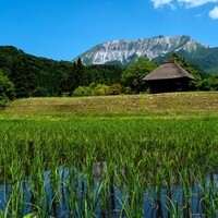 ランニング記録 2026年6月 去年よりはたぶん冷夏