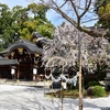 魅力あふれる今宮神社とあぶり餅