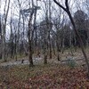 埼玉で珍しい雪の登山｜日和田山と物見山の雪景色