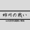 姉川の戦い：戦いで読み解く戦国史