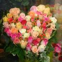 「聴く力」を育てる音楽教育