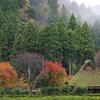 2018・紅葉徘徊（２度目の坊村）２回目のブログ