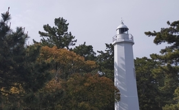 記事を見る