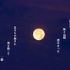 星のお告げ・・・