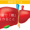 「糖新生」タンパク質から糖を作る仕組みを徹底解説