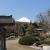 忍野村の富士山と桜　Part-Ⅱ