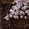 平安・鎌倉期の僧侶歌人(7/17)
