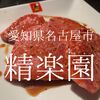 愛知県名古屋市　精楽園　特上ヒレだ。これが最適解だ。でも結構な値段だ。
