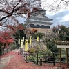 『紅葉と岐阜城に感動！美味しいケーキも』仲良し妹が岐阜県へやってきた②