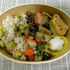 お弁当を作りました！(鶏肉と野菜の甘酢炒め)