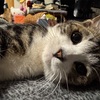 頂いたらお礼をしないといけません。