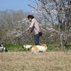 しおりちゃん達とお花見②