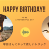 【祝35歳】塚ちゃんのお誕生日に併せてやってほしい技ラインナップしました