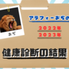 【去年の結果が酷すぎた】お酒をやめて生まれ変わったおぢ　今年の健康診断の結果に期待
