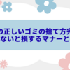ホテルでの正しいゴミの捨て方完全ガイド｜知らないと損するマナーとルール