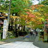 永平寺～福井県永平寺町