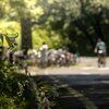 低山登山、トレラン、自然災害、山菜取りにも携帯して安心！発見率96％