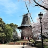 TOSOH　PARK　永源山（３）「ゆめ風車」とチューリップと桜のハーモニー～えいげんの丘（山口県周南市大字富田２３５５－２）