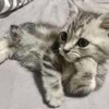 みんな違って みんなかわいい…のだけど