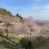 4月に備えて桜も開きだしました。