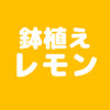 【2020年2月】鉢植えレモンの記録 - 2月に出来た蕾はどうすれば良いの？