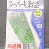 薬味ねぎ(九条ねぎ)の栽培をすることにしました【食卓の名わき役】