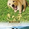 "きな子〜見習い警察犬の物語"