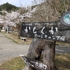 関西のおすすめ２選！春だ花見キャンプを計画して楽しもう