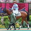 馬体の良さは未勝利では抜けた存在も、初実戦で追走に手一杯となり、直線でちょろっと伸びただけ。能力を出し切れぬまま１２着に終わる。★アルプスソング