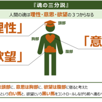 国だって哲学で成り立つのです 哲学図解 理想国家 図解で読み解く方程式 国だって哲学で成り立つのです 哲学図解 理想国家 図解で読み解く方程式