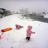 べた雪の朝