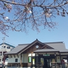 桜のつぼみ～羽後境駅