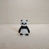 変化する全体像🐼