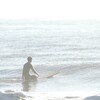 クリーム：カリフォルニアンの感想