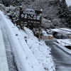 【雪❄️と桜🌸と…】