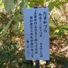 万葉集の世界に飛び込もう（その３１７９）―万葉一日一葉　国分寺万葉庭園（４７）―たまかづら