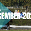 22/12/29 障害競馬日程 - December 2023 - 