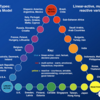 The Cultural Types Lewis Model