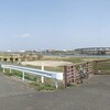 江戸川サイクリングロードの菜の花エリア（野田橋〜玉葉橋の右岸）