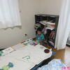 うたちゃん日記♪2023/6/22♪おうちで遊んでいるようす