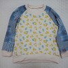 旬のうちにインコでrough raglan。