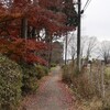先週のランニング