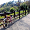 上から見た山田富士公園