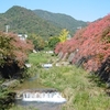 芦屋ロックガーデン