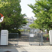 18年度 須磨学園中学校の偏差値 繰り上げ合格 塾別合格者数 大学合格実績など入試結果のまとめ ゴロゴロ中学受験 18年度 須磨学園中学校の偏差値 繰り上げ合格 塾別合格者数 大学合格実績など入試結果のまとめ ゴロゴロ中学受験