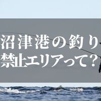 三島周辺の釣りスポットはココです 釣れる魚と穴場の紹介 知リタイーノ