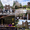 母校　alma mater